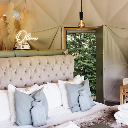 Beautiful Olive Pod Geo Dome House With Hot Tub Hotel East Horsley Exterior photo