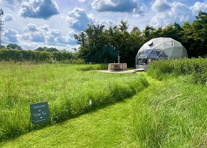 Beautiful Olive Pod Geo Dome House With Hot Tub