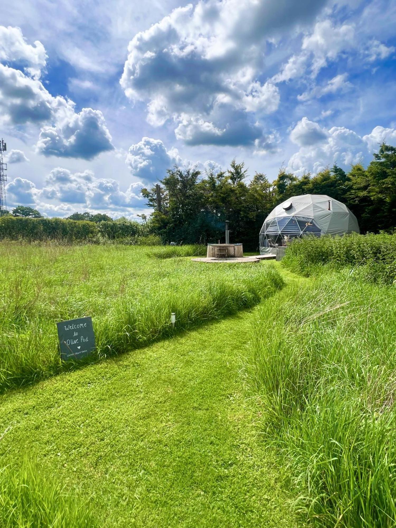 Beautiful Olive Pod Geo Dome House With Hot Tub East Horsley