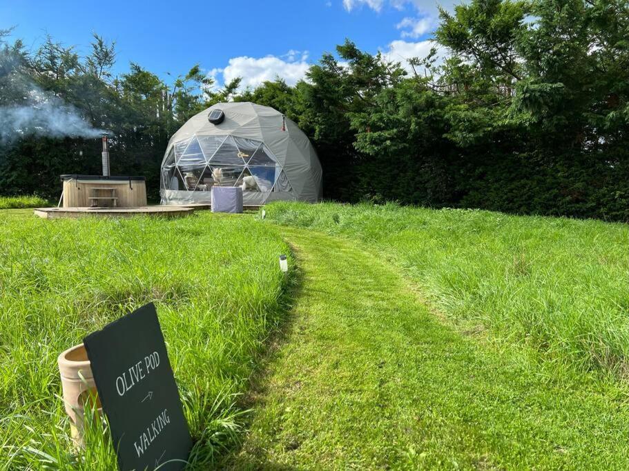 Luxury tent Beautiful Olive Pod Geo Dome House With Hot Tub East Horsley